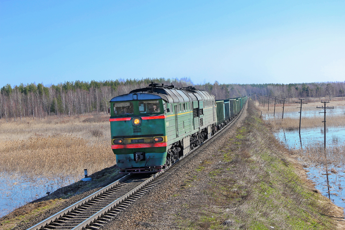 Тепловоз 2ТЭ116-262 с грузовым поездом, перегон Кафтино - Платищенка