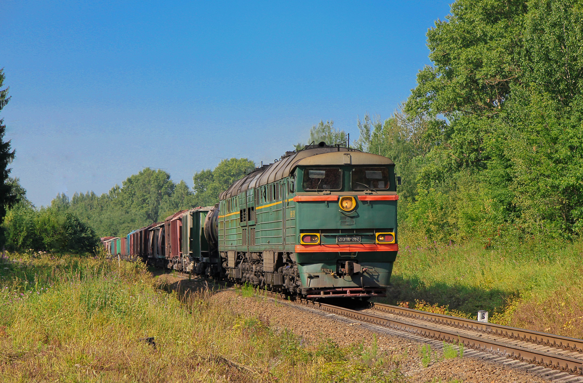 Тепловоз 2ТЭ116-262 с грузовым поездом, перегон Льняная - Торжок