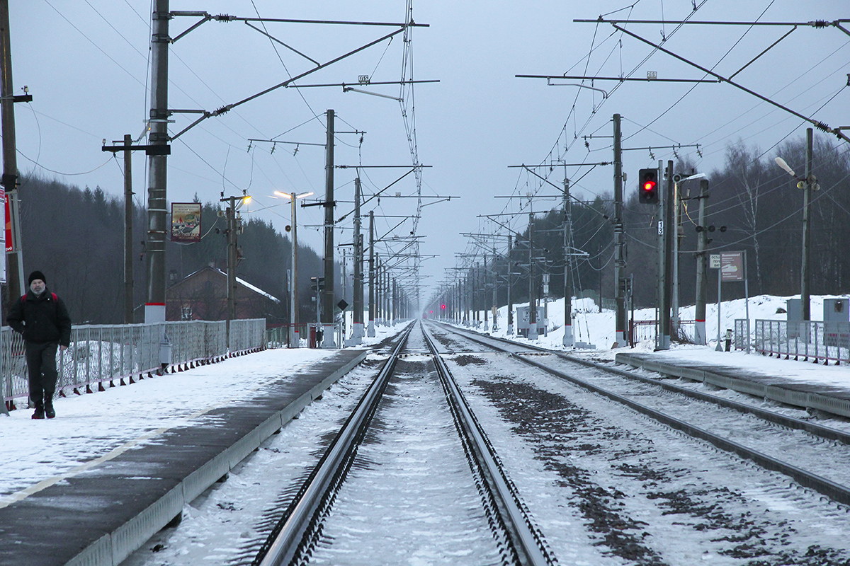 Вид от платформы Левошинка в сторону платформы Бухаловский переезд