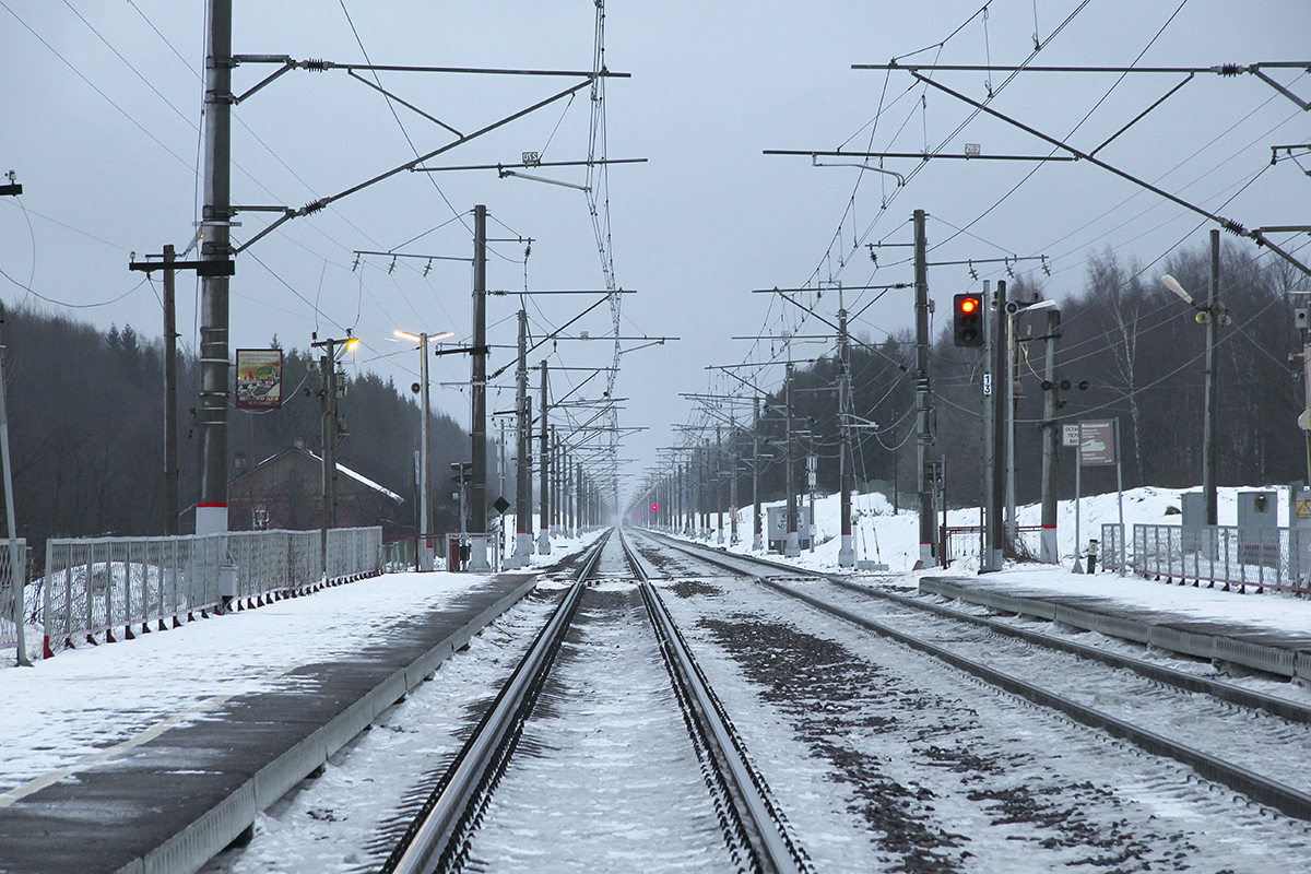 Вид от платформы Левошинка в сторону платформы Бухаловский переезд