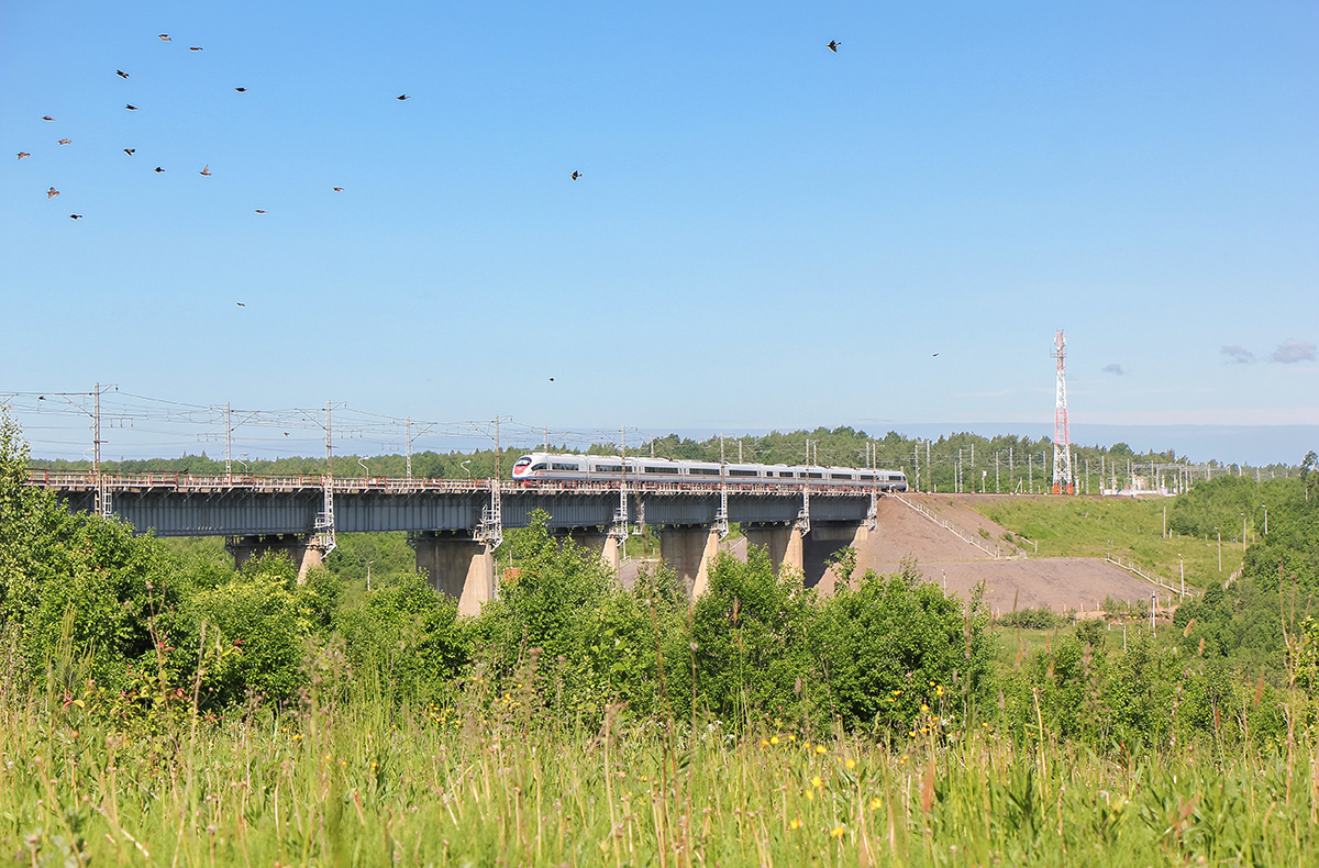 Электропоезд ЭВС2 «Сапсан» на перегоне Торбино - Мстинский мост