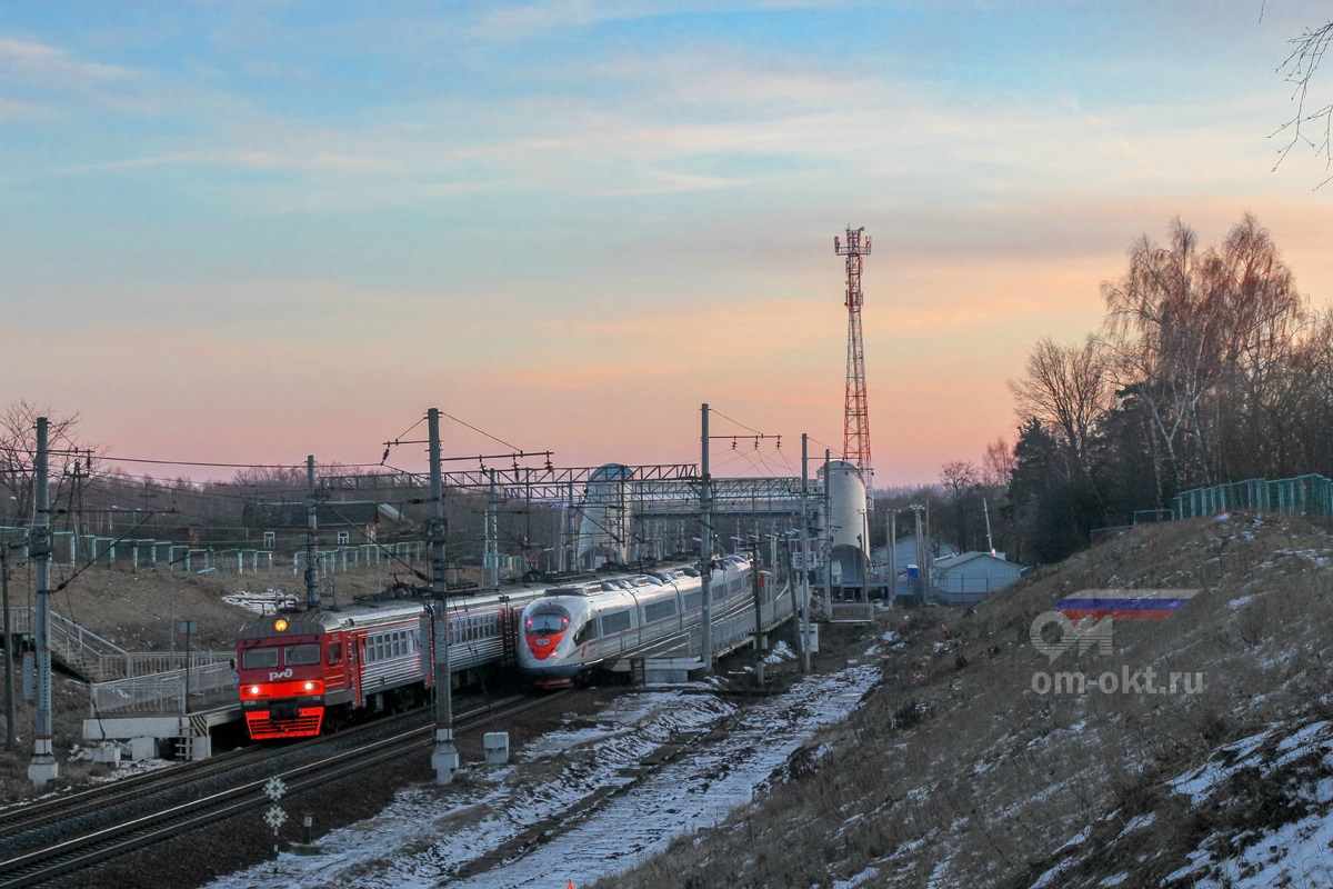 Электропоезда ЭТ2М-115 и ЭВС1 «Сапсан» у остановочного пункта Чуприяновка